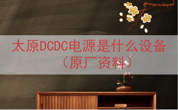 太原DCDC电源是什么设备（原厂资料）